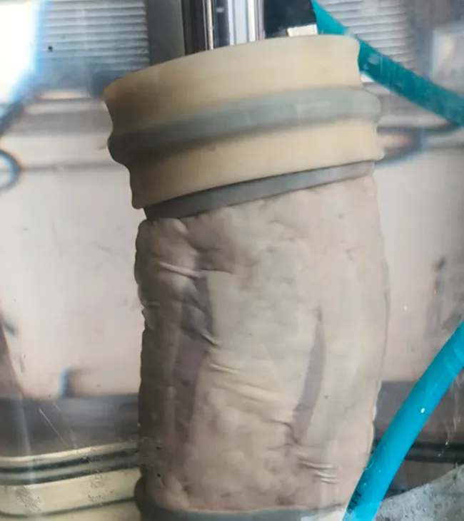 Rio Tinto - Proyecto Rincon